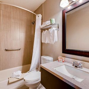 Deluxe Kamer met een King Size Bed